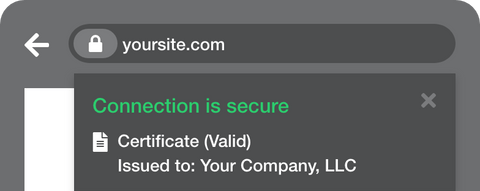 1 SSL Certificate - Final Offer!